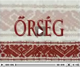 video orseg